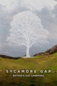 Sycamore Gap: Britain’s Lost Landmark