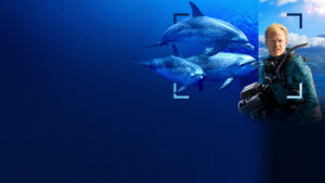 Dolphins Up Close with Bertie Gregory