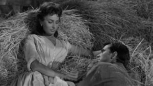 Desire Under the Elms