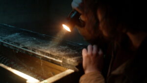 Whisper of the Witch