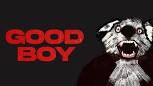 Good Boy