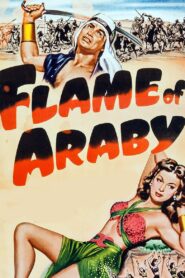 Flame of Araby