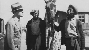 The Ex-Mrs. Bradford