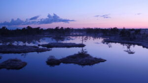 The Wind Sculpted Land