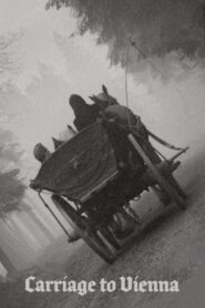 Carriage to Vienna