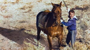 40 Guns to Apache Pass