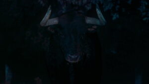 Afternoons of Solitude