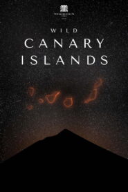 Wild Canary Islands
