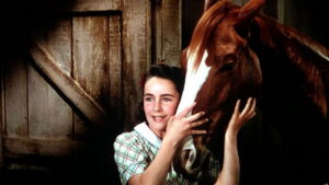 National Velvet