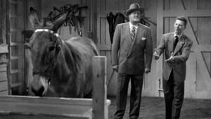 Francis Goes to the Races