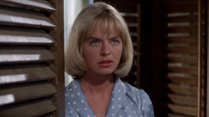 Sands of the Kalahari