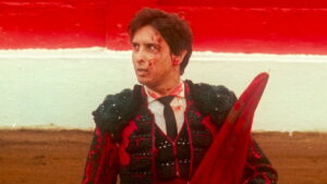 Afternoons of Solitude