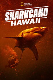 Sharkcano: Hawaii