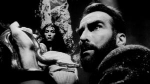 Freud: The Secret Passion