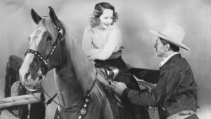 The Cowboy and the Lady