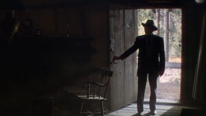 The Shepherd of the Hills