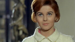 The Tiger and the Pussycat