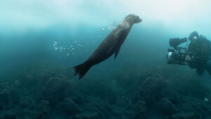 Guardians of the Galapagos