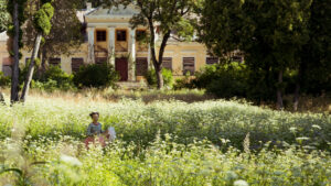 A Butterfly’s Heart