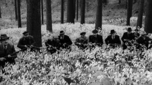 Diamonds of the Night