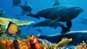 Ocean with David Attenborough