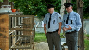 The Gardener’s Year