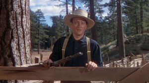 The Shepherd of the Hills