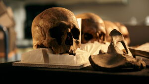 World’s First Battlefield