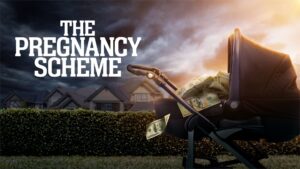 The Pregnancy Scheme