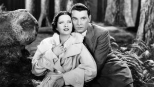 The Goose and the Gander