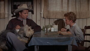 Ride a Crooked Trail