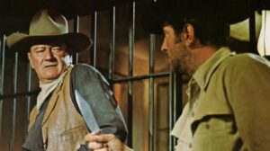 The Sons of Katie Elder