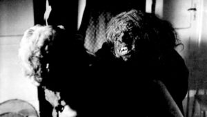 Revenge of The Blood Beast