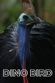 Dino Bird