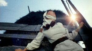 Shadows of Forgotten Ancestors