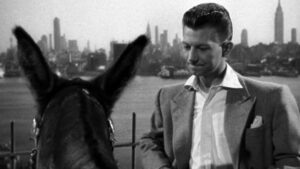 Francis Covers the Big Town