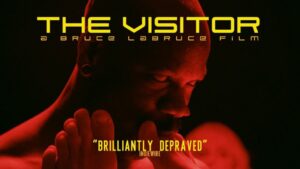 The Visitor