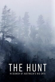The Hunt: In Search of Australia’s Big Cats