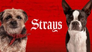 Strays