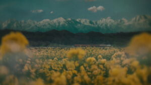 The Girl Who Leapt Through Time