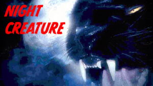 Night Creature