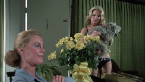 The Centerfold Girls