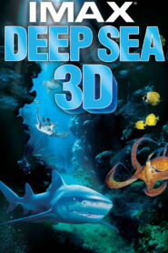 Deep Sea 3D