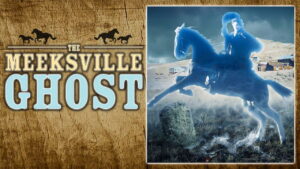 The Meeksville Ghost