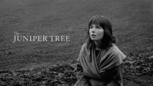 The Juniper Tree
