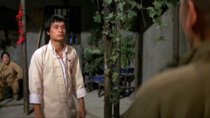 The New Shaolin Boxers