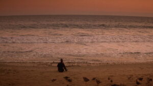 The Adventures of Ford Fairlane