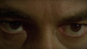 The Frenchman’s Garden