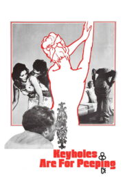 Keyholes Are for Peeping