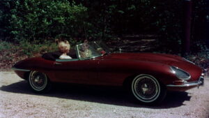 The Prince and the Nature Girl